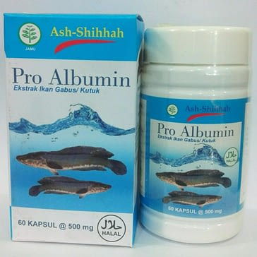 Distributor Kapsul Pro Albumin Ash Shihhah Surabaya Sidoarjo
