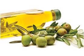 Olive Oil Jual Day Cream HNI Surabaya Sidoarjo Mojokerto