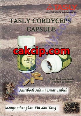 tasly cordyseps herbal surabaya