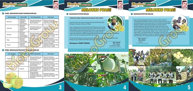 Jual Biotogrow Pupuk Organik murah Surabaya Sidoarjo panduan biotogrow melon 2