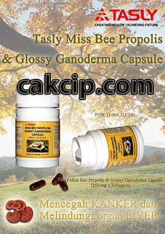 tasly miss bee propolis & glossy ganoderma murah