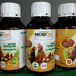Biotogold Microgen Nutrisi Ayam Petelur