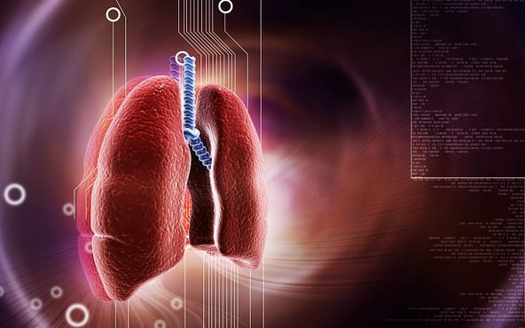 Cara alami mengobati bronkitis obat tradisional bronkitis akut