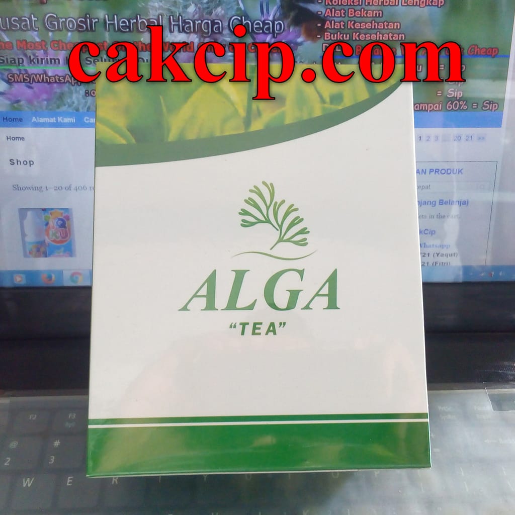 wholesale alga tea murah