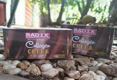 Stokis radix cocoa collagen surabaya sidoarjo